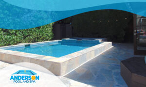 Privacy in a Southern California backyard swimming pool